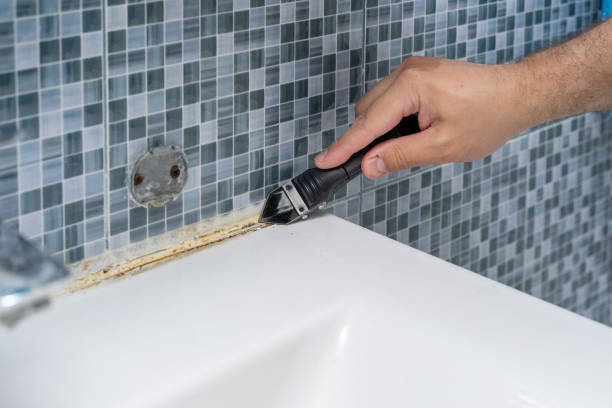 Best Preventive Mold Services in Cutler Bay, FL